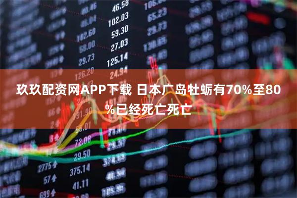 玖玖配资网APP下载 日本广岛牡蛎有70%至80%已经死亡死亡