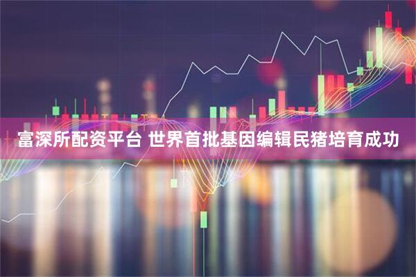富深所配资平台 世界首批基因编辑民猪培育成功