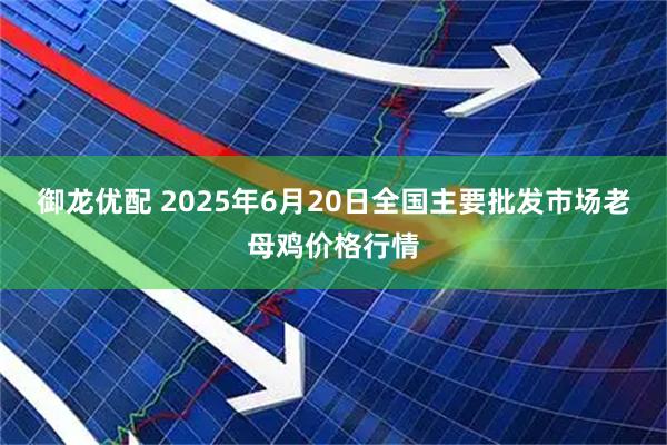 御龙优配 2025年6月20日全国主要批发市场老母鸡价格行情