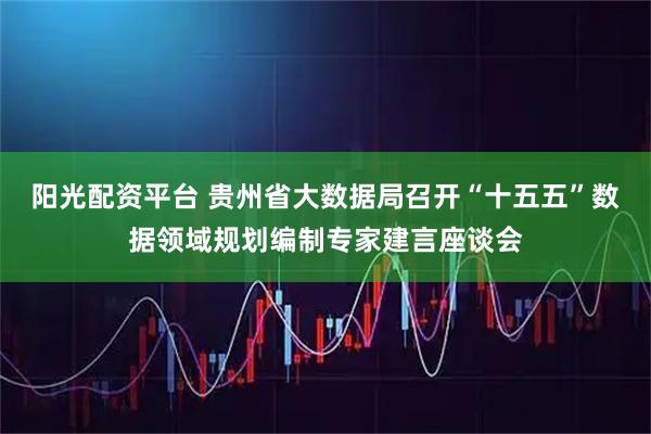 阳光配资平台 贵州省大数据局召开“十五五”数据领域规划编制专家建言座谈会